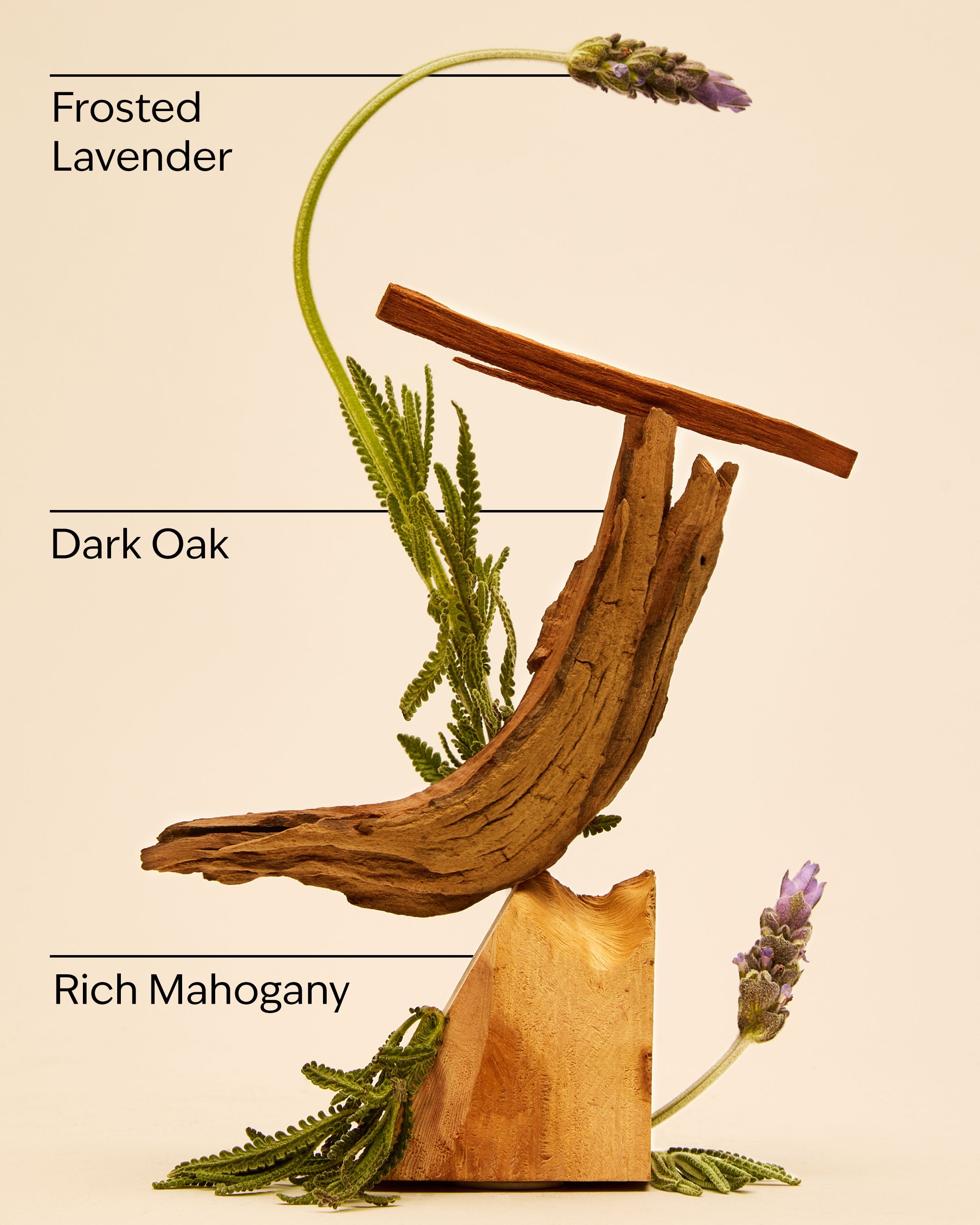 Mahogany Teakwood Cologne