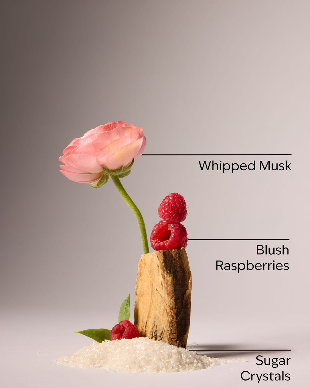 Sweetest Song Body Lotion