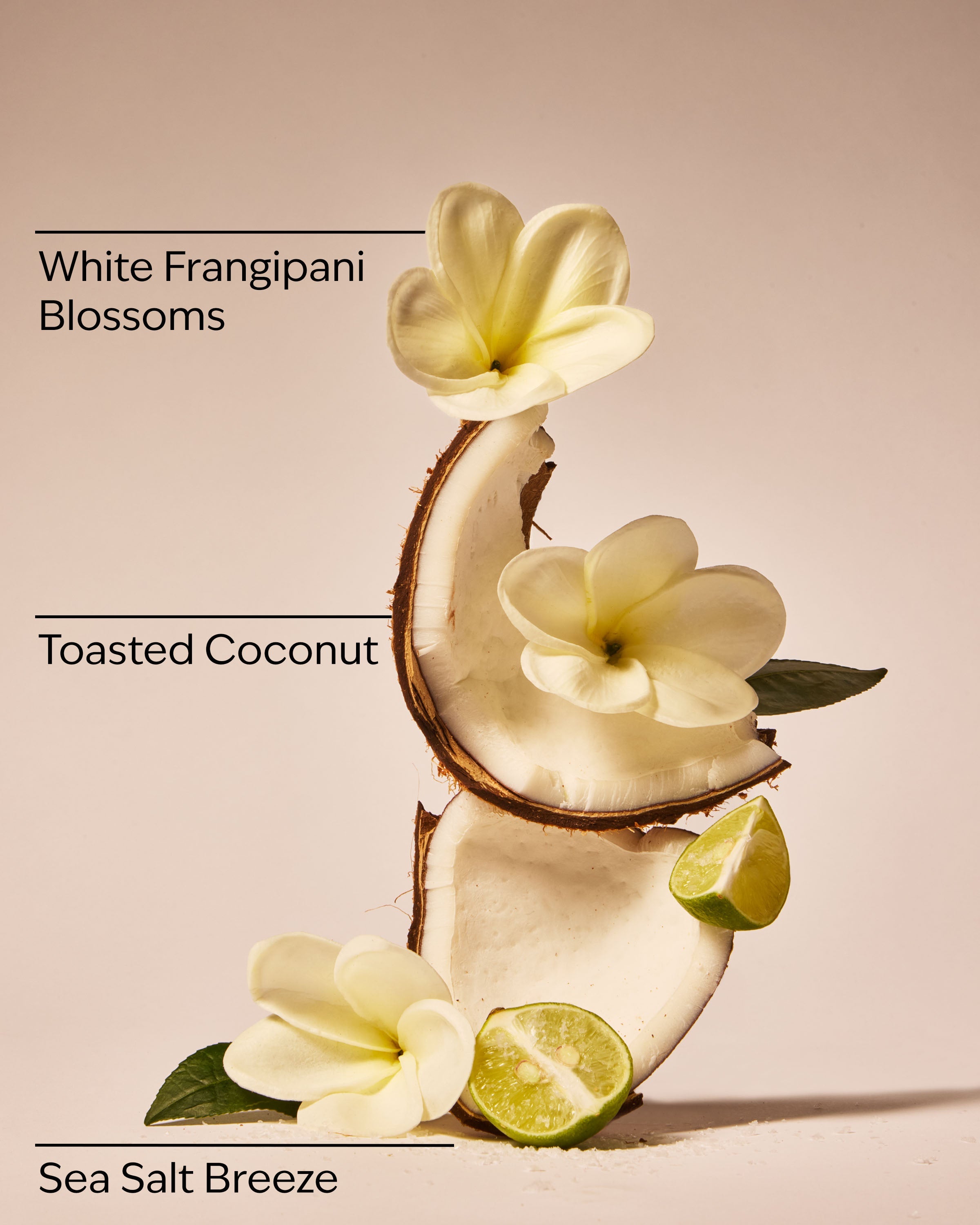 At the Beach Body Lotion