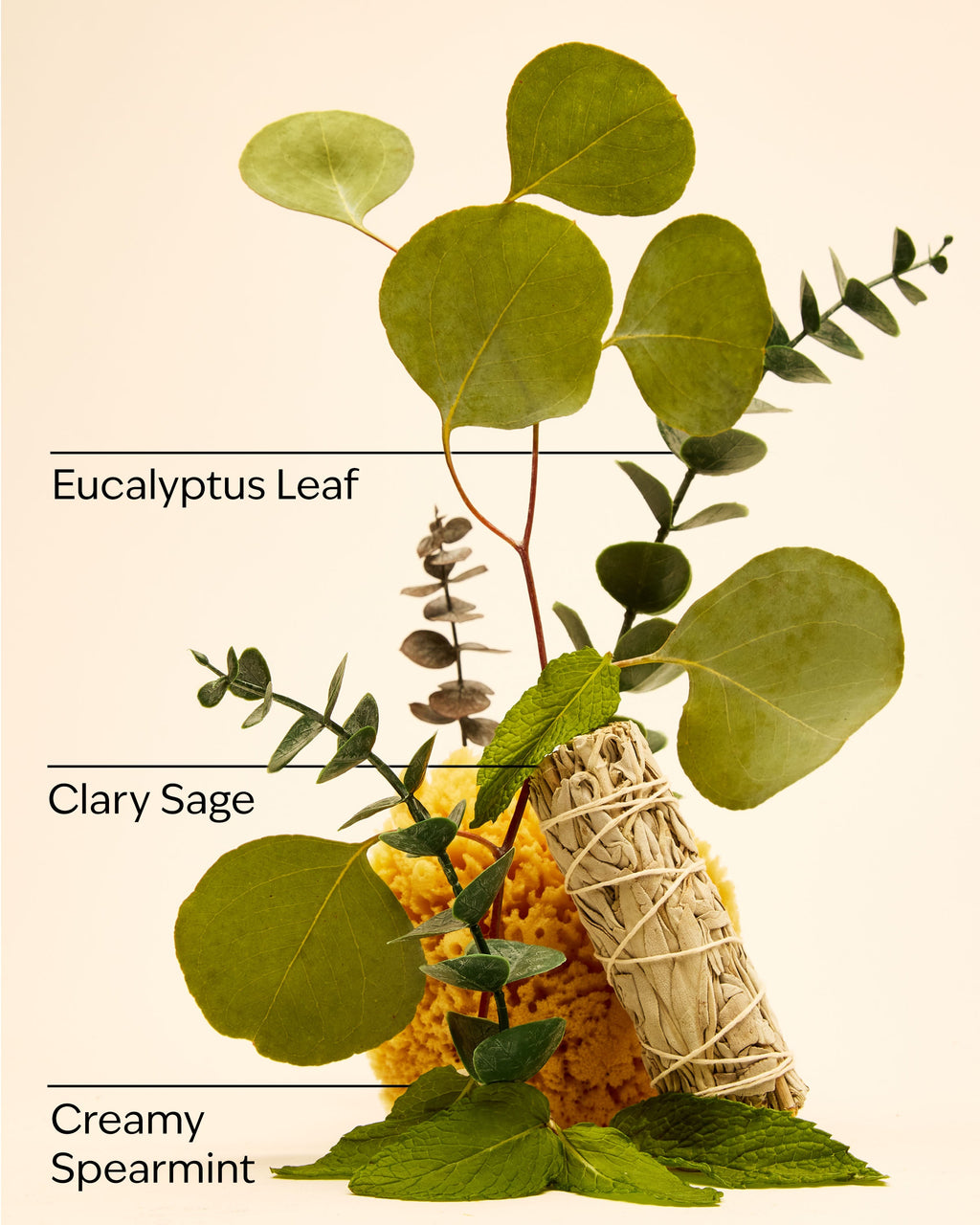 Eucalyptus Spearmint Travel Size Ultimate Hydration Body Cream