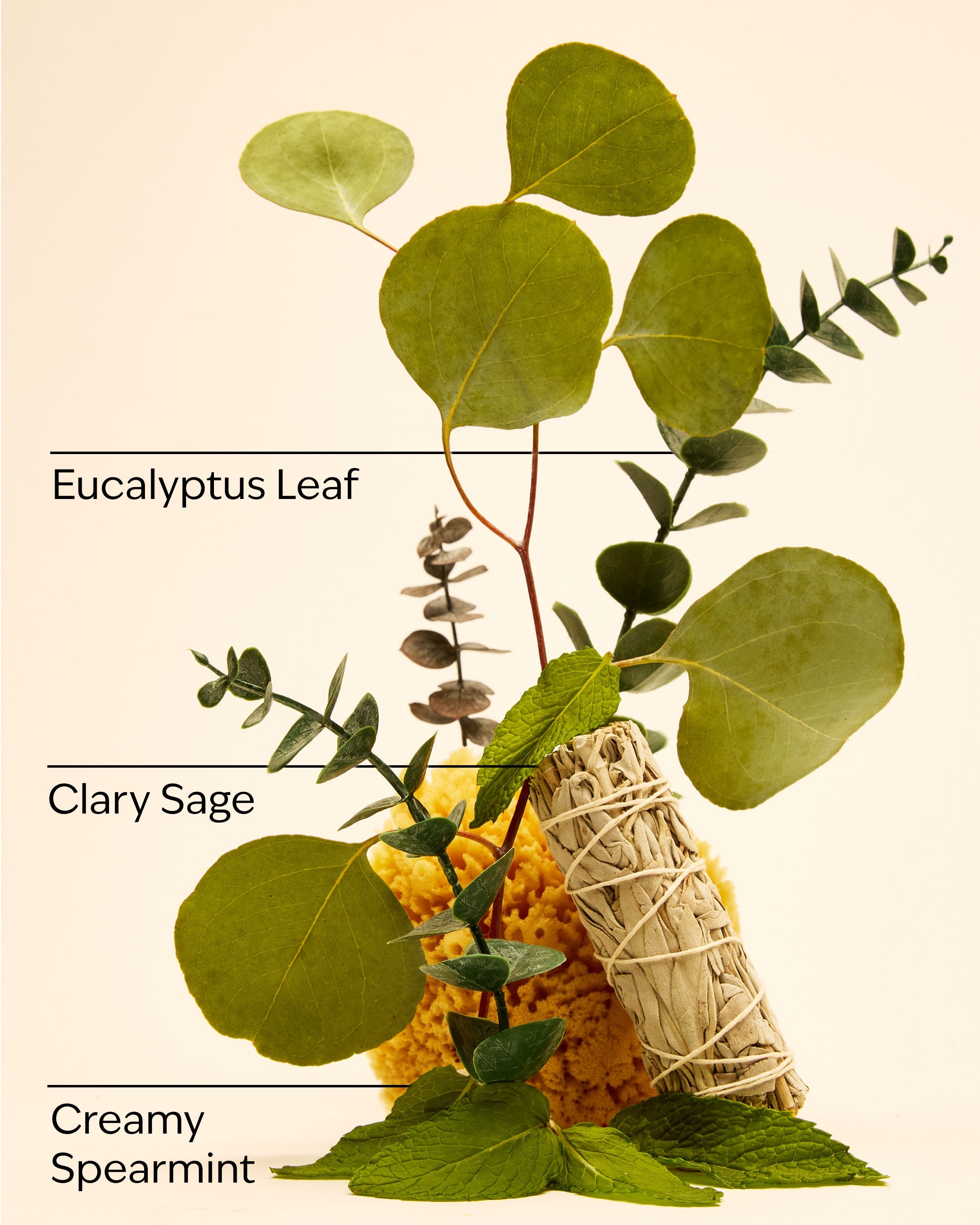 Eucalyptus Spearmint Hand Cream