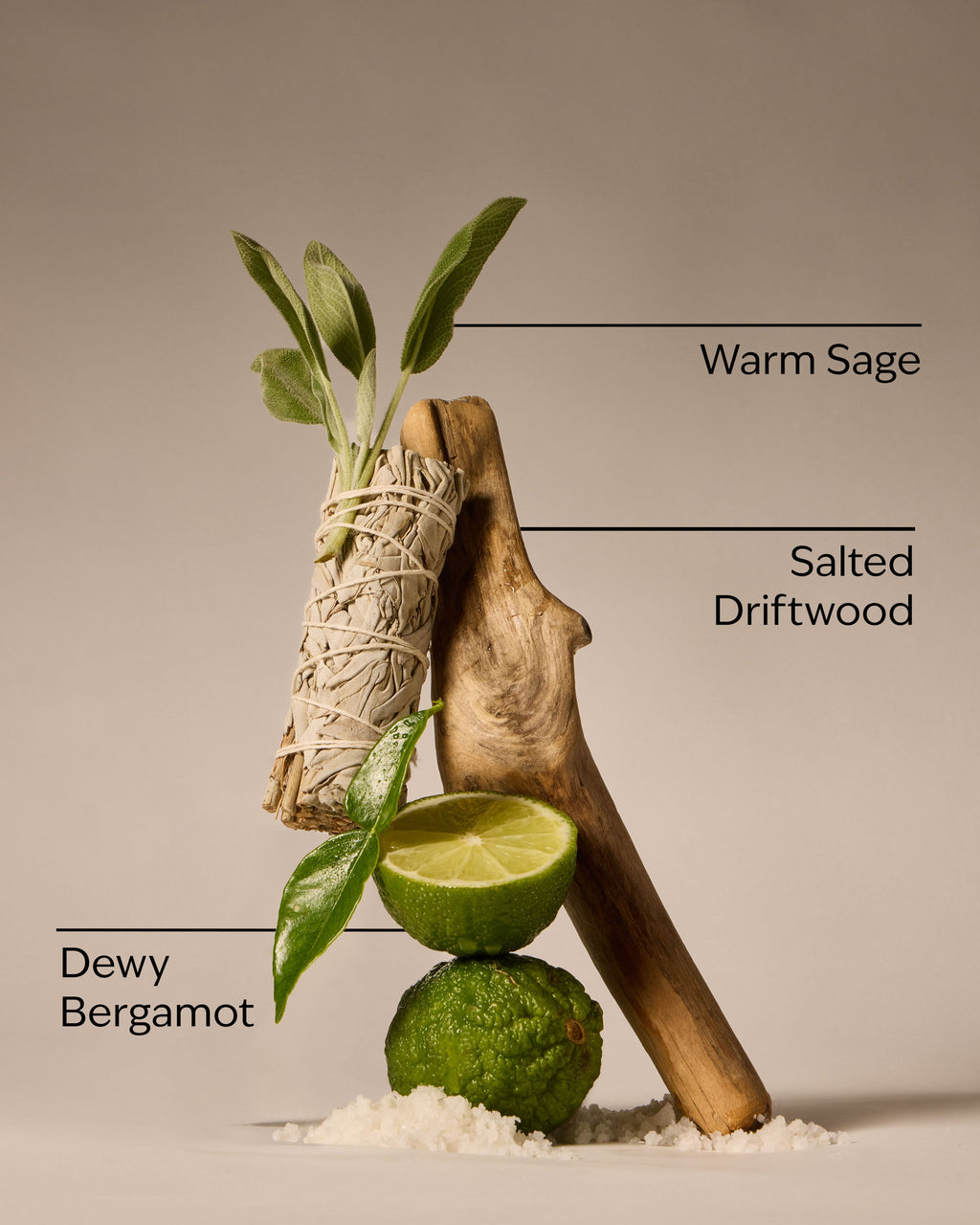 Salted Shorelines Fine Fragrance Mist