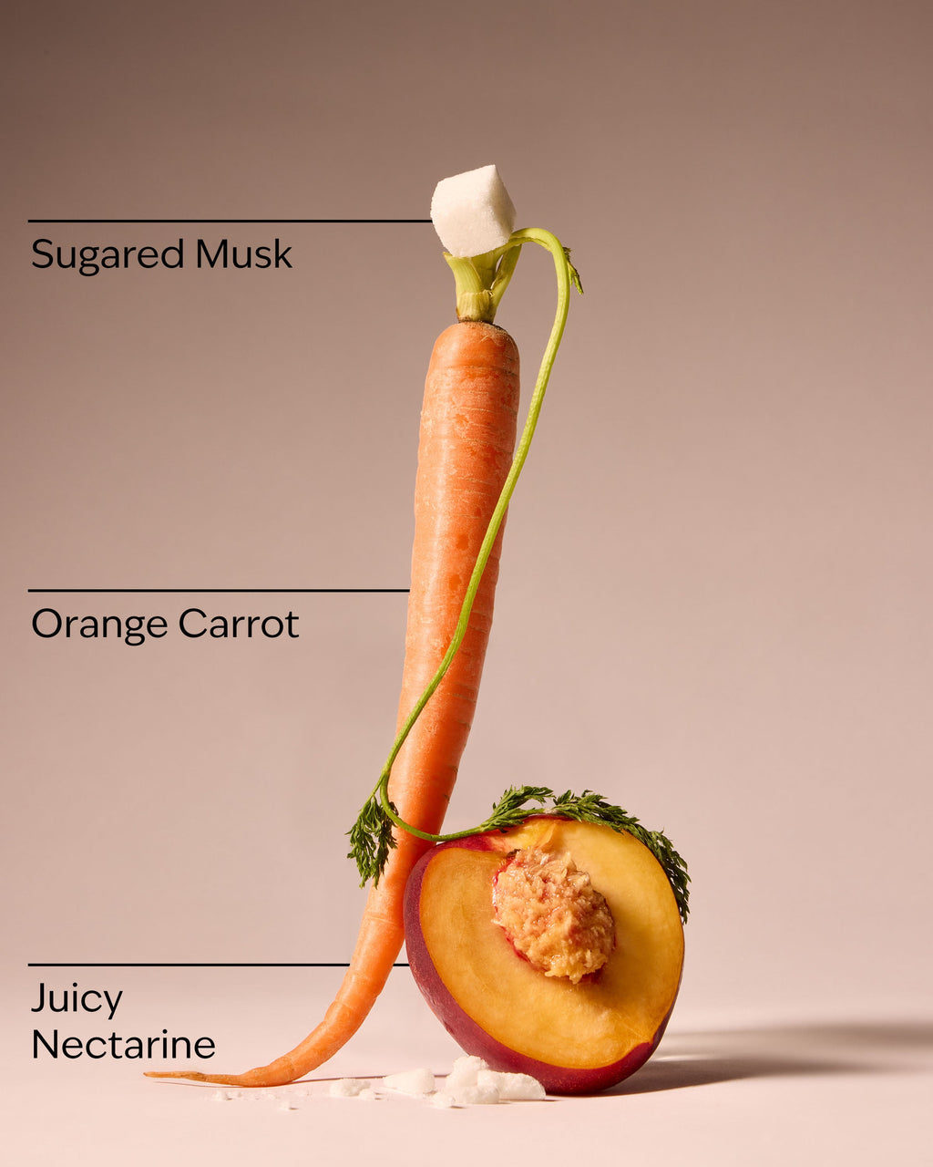 Carrot Charm Body Lotion