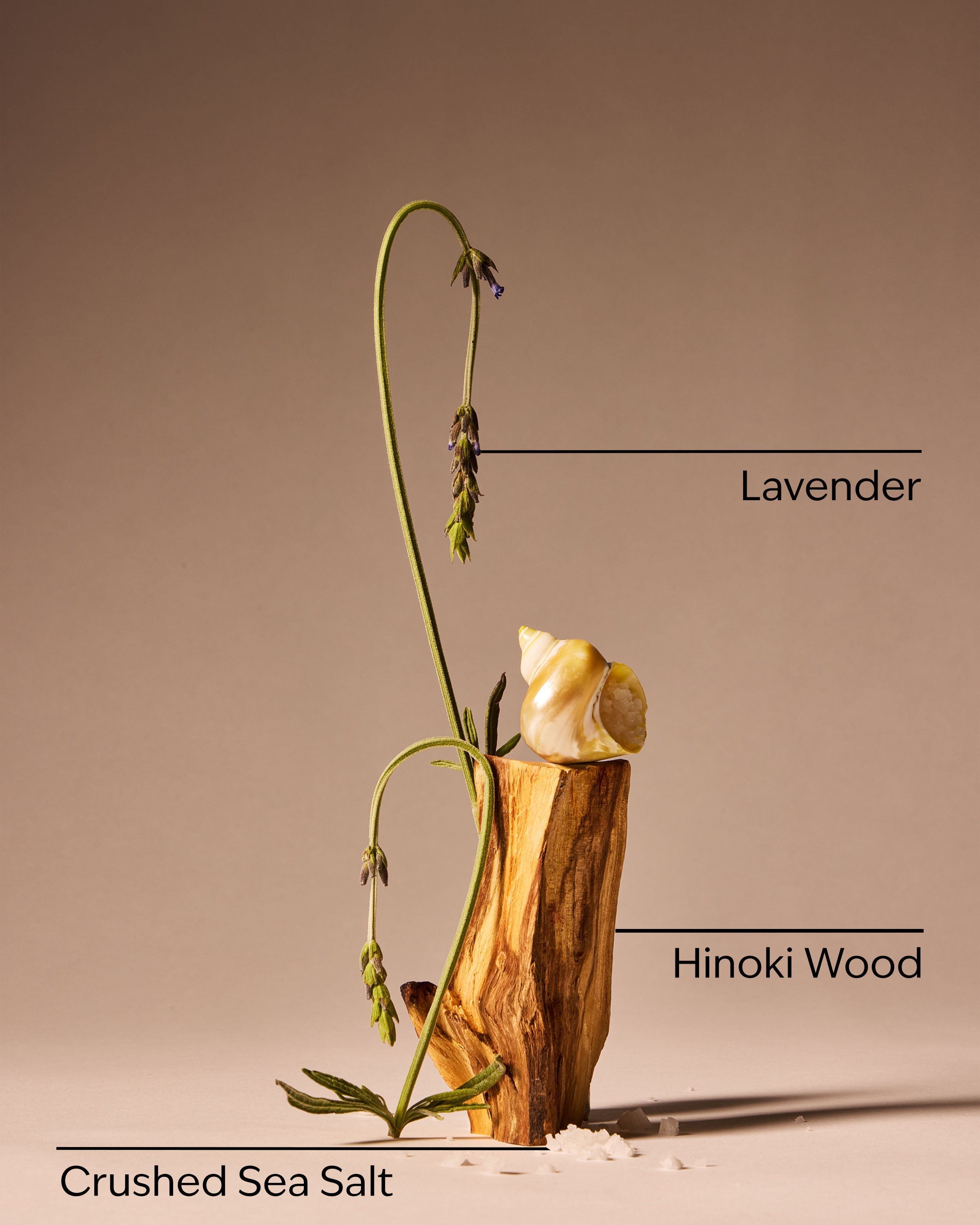 Sea Salt Crush Revitalizing Gel Hand Soap