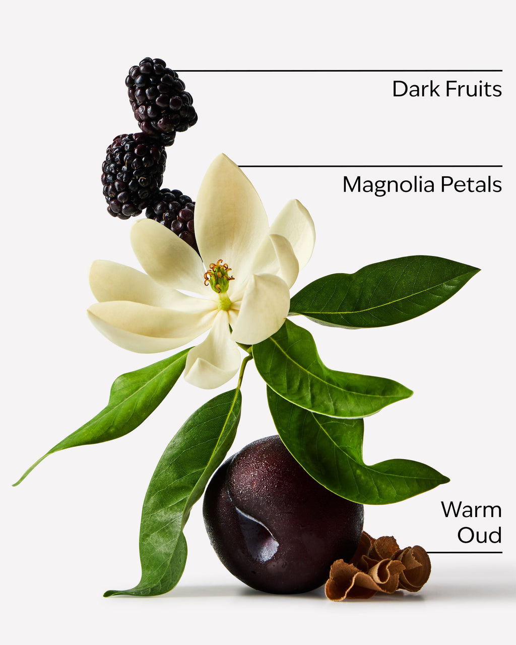Oud Berry Fine Fragrance Mist