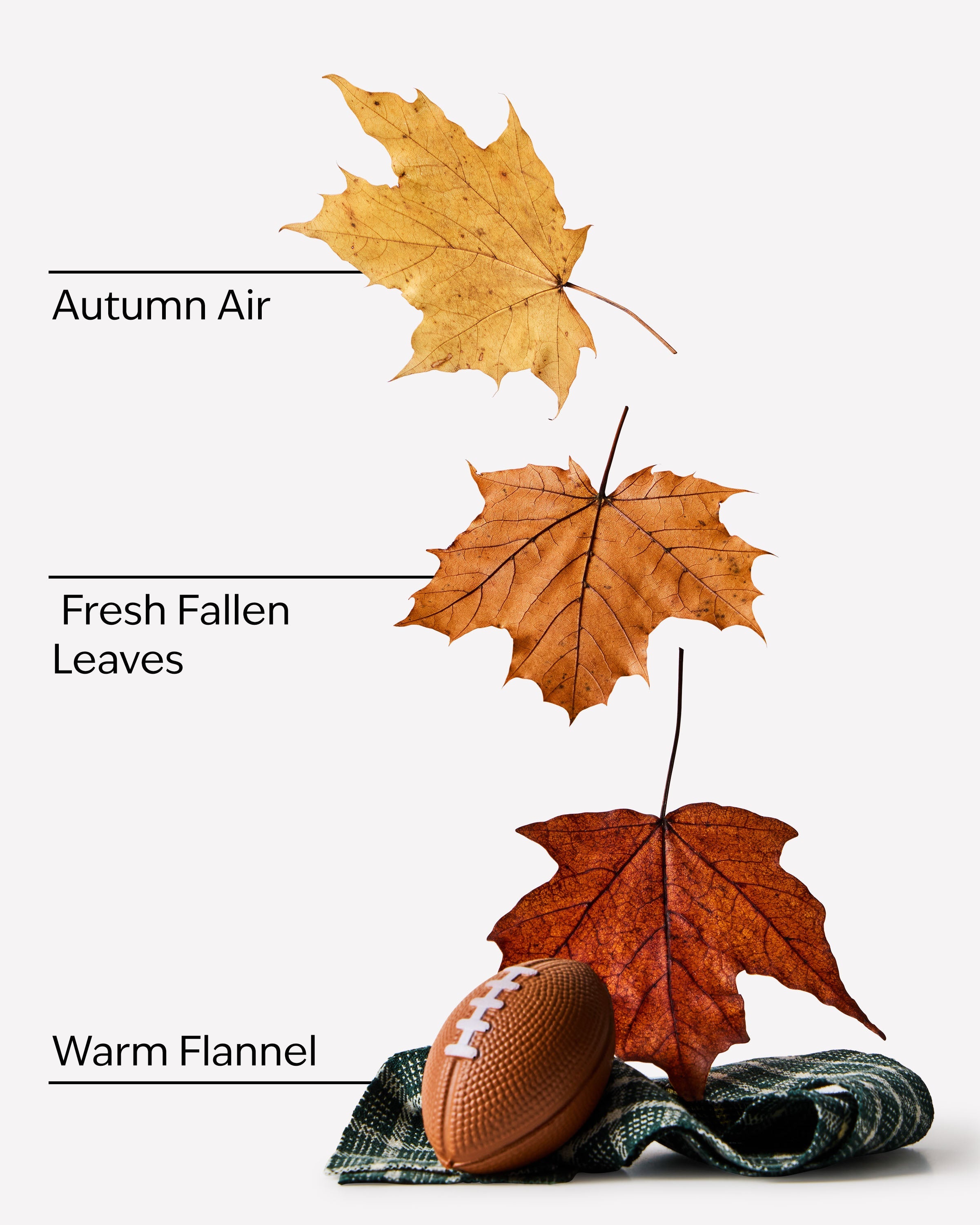 Football Season 3-in-1 Hair, Face & Body Wash