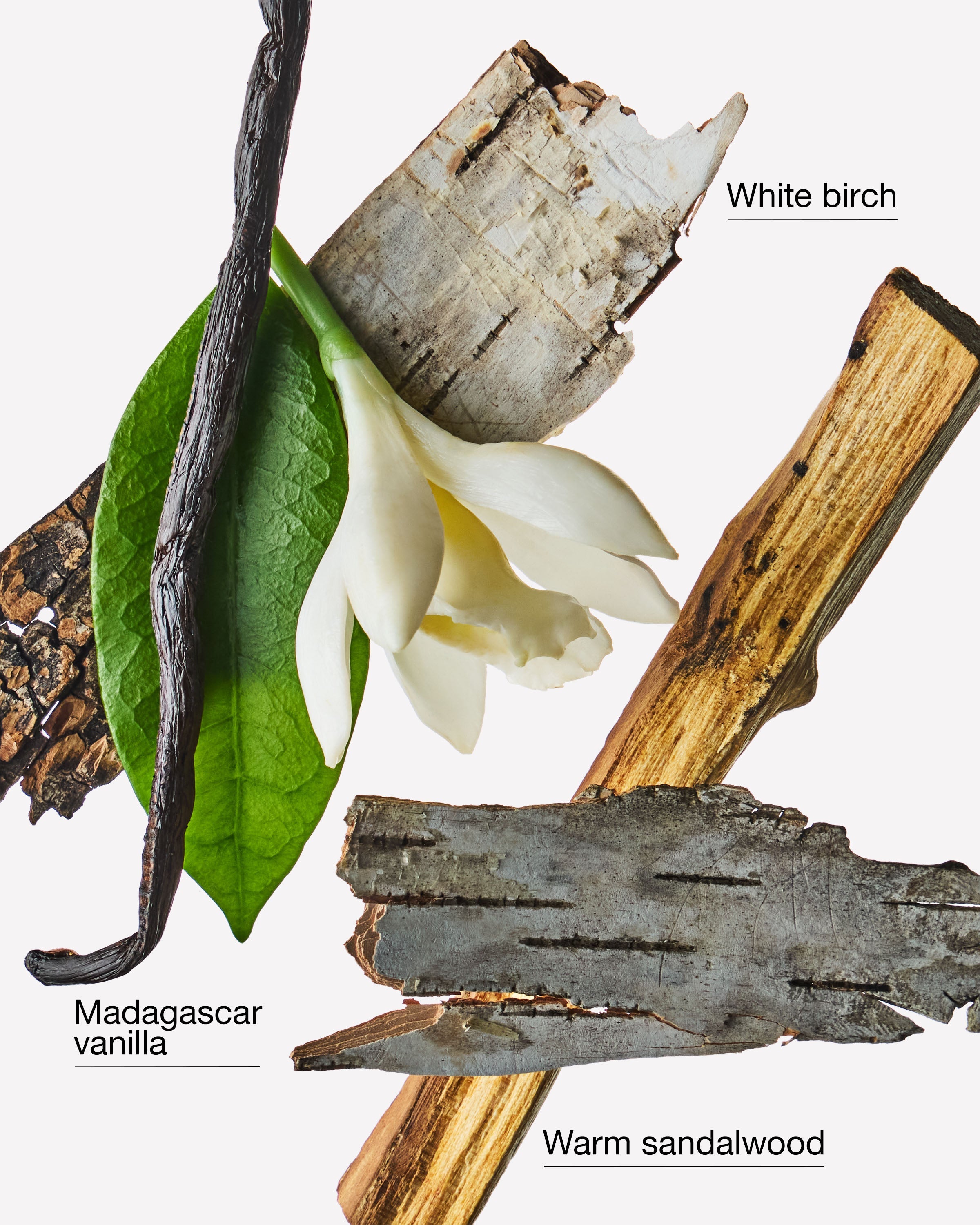 Vanilla Birch Wallflowers Refills 2-Pack